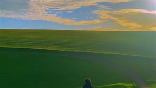 ی همچین جایی