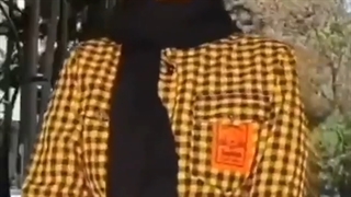 سرنا امینی
