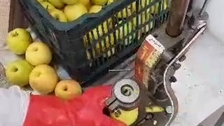 دستگاه هسته گیر اهرمی با فنر بسیار قوی ارتجاعی09333782957