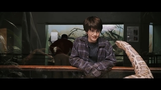 Harry potter(no subtitles)