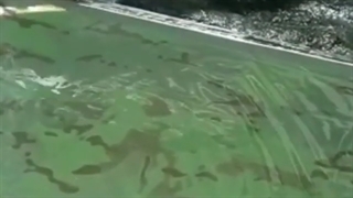 اموزش کار با دستگاه های چاپ ابی