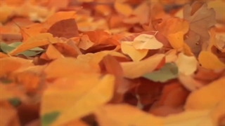 به نام خداوندی که جان آفرید