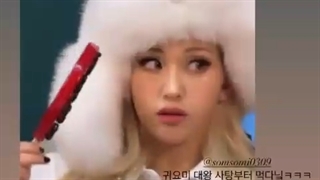 استوری جیسو