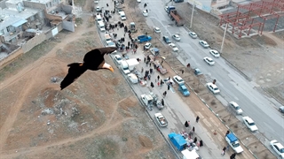 آنسوی الوند ازچشم عقاب