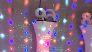 پارتی سیتی ایران تهران