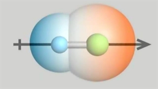 قطبیت 210520-p307