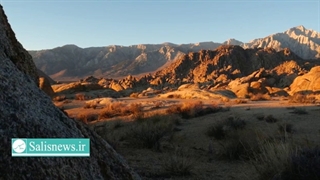 مجموعۀ «زمین» اثر جواد علیمحمدی اردکانی