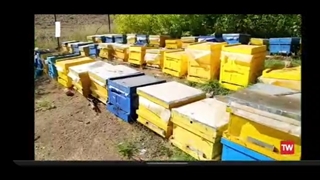 برنامه ایده طلایی