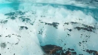 وای خدای من چه خوشگله