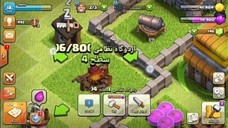 مرغ بریون در کلش!