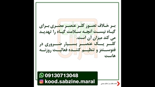 مرزی به باریکی یک مو_مشاوره واتساپ09130713048_سبزینه مارال یزد