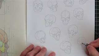 ✅ آموزش طراحی جمجمه انسان در زوایای گوناگون