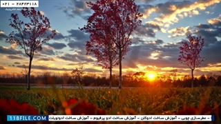 آموزش عطرسازی-آموزش آنلاین عطرسازی-عطر سازی چوبی-خانواده عطرها