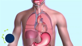 رفلاکس معده