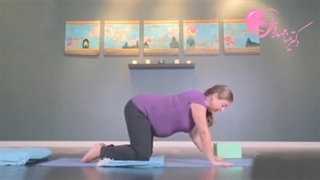 موضوع: ورزش در بارداری بخش دوم