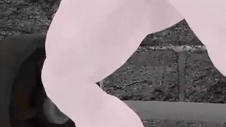 شاخای نماشا ب روایت تصویر@__@