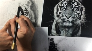 طراحی کنته حیوانات قسمت سوم. افروزسعیدیان