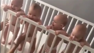 کچلای خندان ^-^