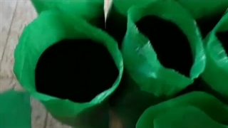 بزرگترین عمده فروشی سیاه دانه ایرانی