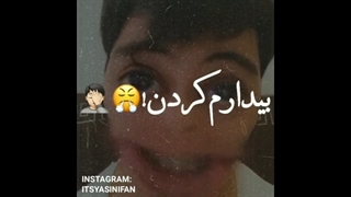 امروز مگسا از خواب بیدارم کردند .........