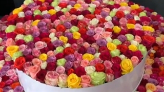 بی‌صدا زیبا