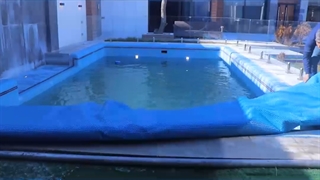 روکش‌های‌ استخر پلی‌اتیلن مگاپول