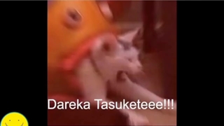 آموزش‌چند‌کلمه‌ژاپنی⁦^_^⁩