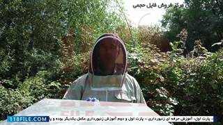 آموزش پرورش زنبور عسل  - آموزش تصویری زنبورداری -  درمان شته واروا