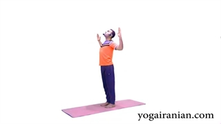 آموزش یوگا یوگا برای لاغری