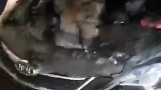هوا سرده خیلیم سرده