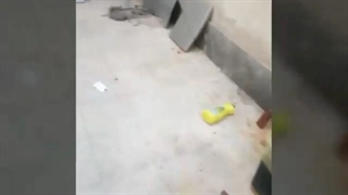 خدمات پس از فروش  وتامین قطعات  هر نوع  اسپرسو ساز  قهوه ساز قهوه جوش  با هر قدرت و برندی  در شرکت بازرگانی تجاری چرو