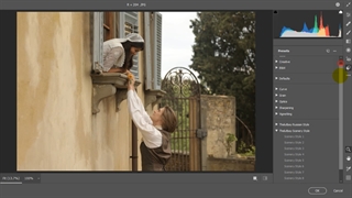 پریست های کامرا راو xmp