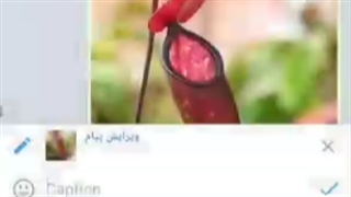 نحوه ی ارسال متن همراه با عکس به گروه