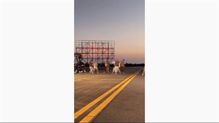 پشت صحنه آهنگMONYاز لیسا بلک پینک