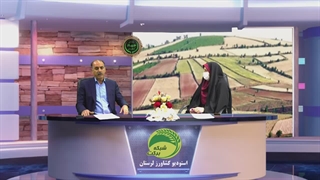 نقش بیمه در تولید دیمزارها