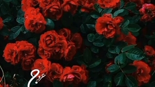 وقتی میگی پس خدا کجاست ؟