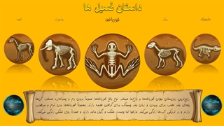 قالب اسلاید فسیل ها