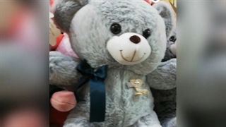 معرفی عروسک های پولیشی