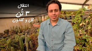 انتقال 3 تن گل و گلدان از بام سبز به گلخانه والیانی