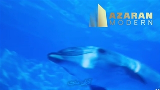 کشسان ارزان