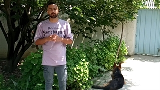 گرما زدگی در سگ ها