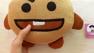 عروسک شوکی. Bt21