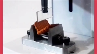 مراحل تهیه و فراوری پودر سفیده تخم مرغ