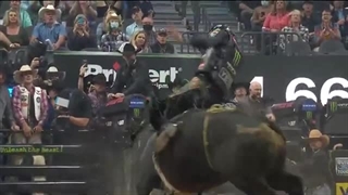 مسابقات رکورد شکنی سوار شدن بر گاو وحشی سال2021