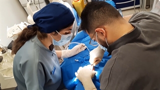 دوشنبه های کلینیک دکتر پورنبی