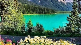 ترانه:میدونی دل اسیره