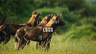 مستند رشد حیوانی با دوبله فارسی Growing Up Animal 2021