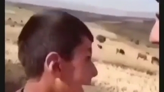 دابسمش چیست؟=وید<<: