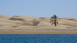 ساحل درک | ایران آهانا