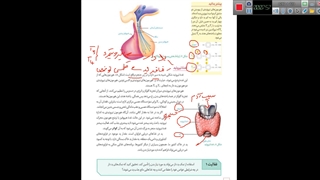 غده تیرویید